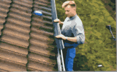 Dachrinnengitter