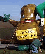 Unsere "Frische Kartoffel" ist 4 m hoch.
