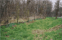 Kr&ouml;tenschutzzaun