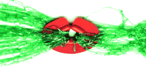 Netzclip mit Vogelschutznetz