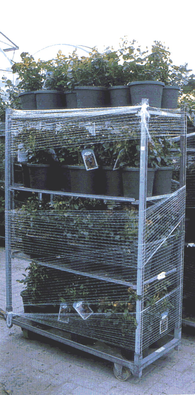 Pflanzensicherungsnetz