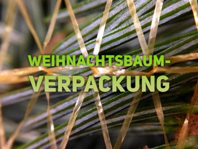 Weihnachtsbaumverpackung