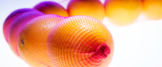 Verpackungsnetz extrudiert